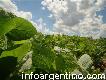 Campos Agrícolas en Córdoba