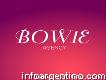 Bowie Agency - Agencia Web